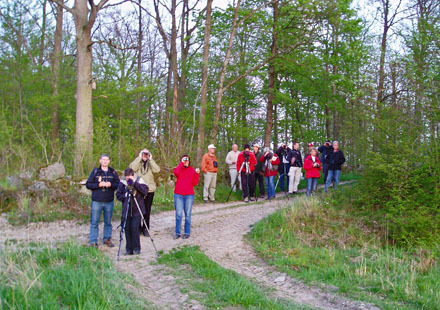 Kr&aring;ketorps v&aring;tmark