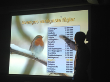 Vara faglar1