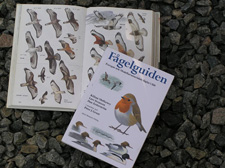 F&aring;gelguiden